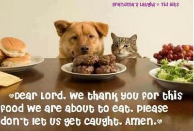 Прикрепленное изображение: 314081_449635275069418_324839156_n.jpg